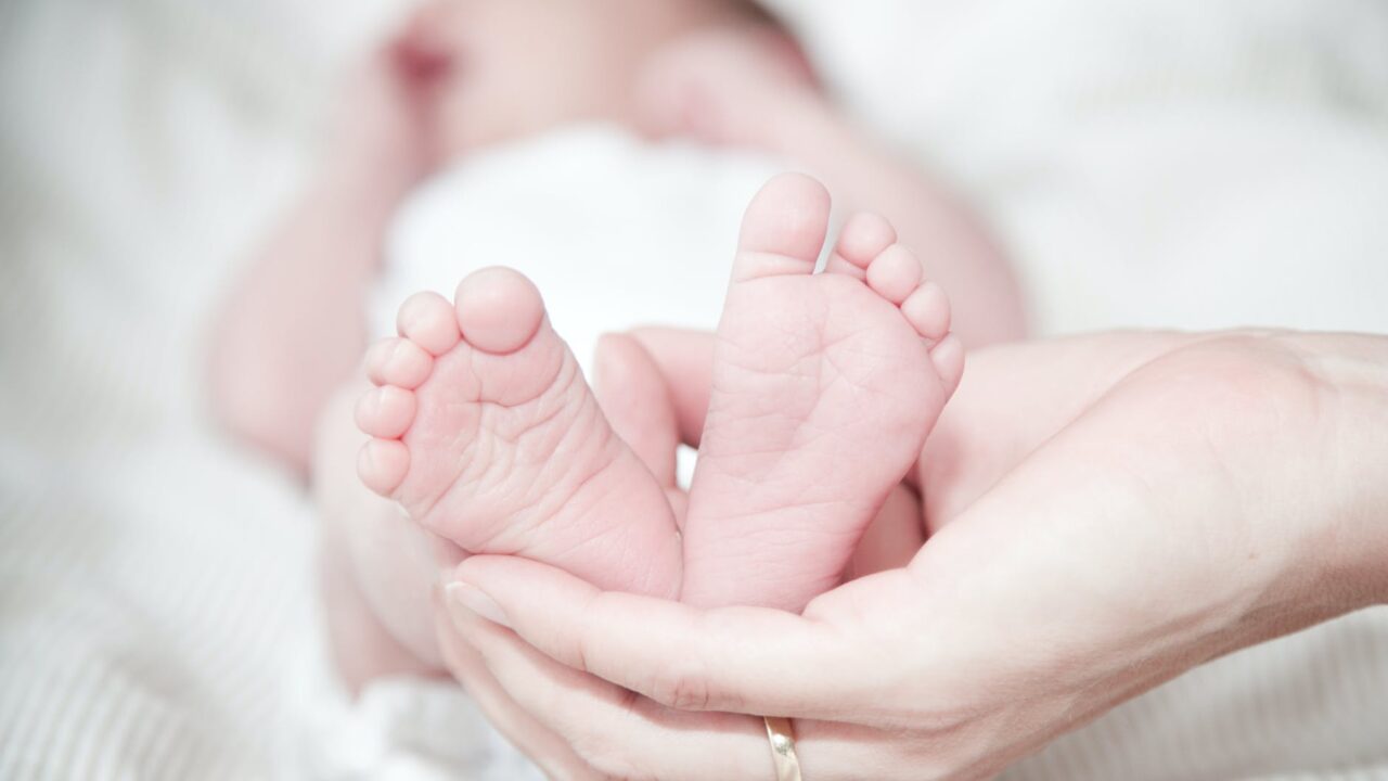 A little cocoon for premature babies